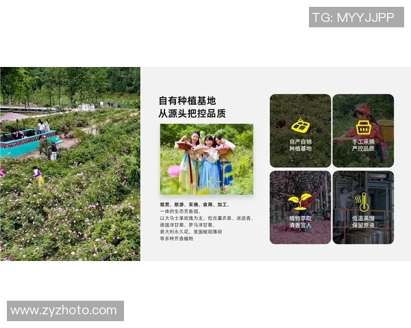 铜陵姚明花的独特魅力与生态价值探秘之旅